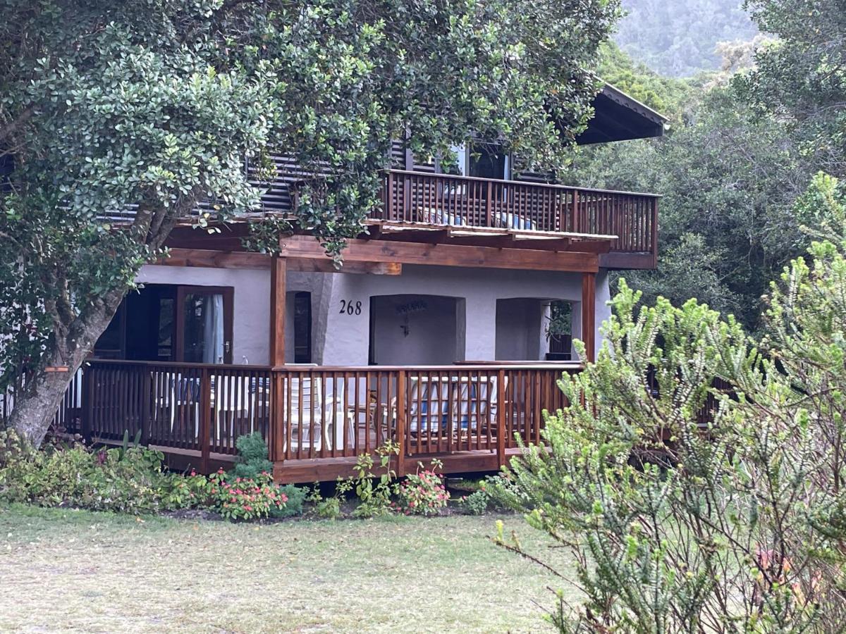 Forest Drive Holiday Home Natureʼs Valley Εξωτερικό φωτογραφία